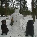 Превью фото № 221174