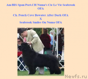 Превью фото № 221205