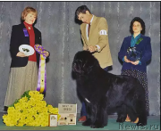 Превью фото № 221208