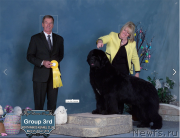 Превью фото № 221209