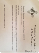 Превью фото № 221228