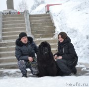 Превью фото № 221258