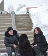 Превью фото № 221259