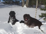 Превью фото № 221276