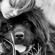 Превью фото № 221287