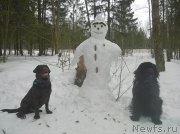 Превью фото № 221298