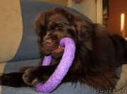 Превью фото № 221326