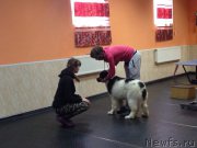 Превью фото № 221384