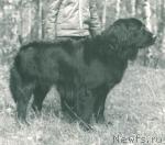 Превью фото № 2214