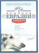 Превью фото № 221435