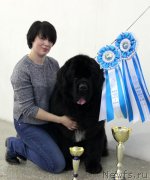 Превью фото № 221461