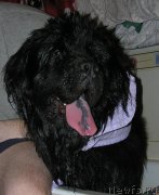 Превью фото № 221525