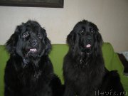 Превью фото № 221561