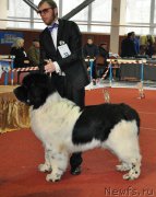 Превью фото № 221562