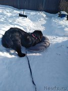 Превью фото № 221586