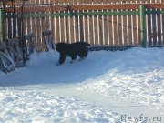 Превью фото № 221619