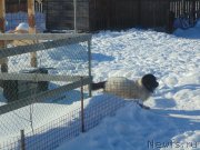 Превью фото № 221643