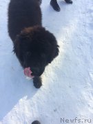 Превью фото № 221651