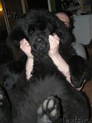 Превью фото № 221665