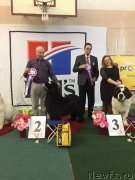 Превью фото № 221673