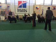 Превью фото № 221674