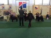 Превью фото № 221675