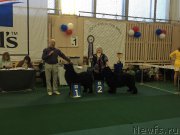 Превью фото № 221676