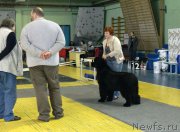 Превью фото № 221726