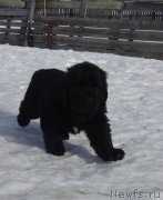 Превью фото № 221786