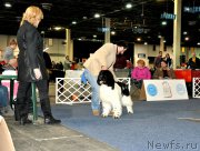 Превью фото № 221832