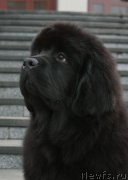 Превью фото № 221866