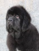 Превью фото № 221869