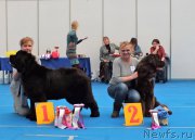 Превью фото № 221883