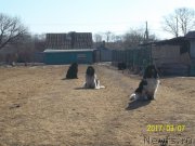 Превью фото № 221907