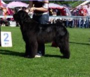 Превью фото № 221946