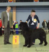 Превью фото № 221949