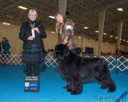 Превью фото № 221954