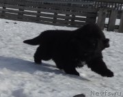 Превью фото № 221991