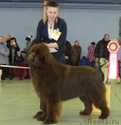 Превью фото № 221993