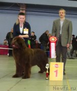 Превью фото № 221994