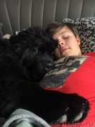 Превью фото № 222045