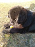 Превью фото № 222065