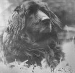 Превью фото № 22207