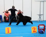 Превью фото № 222146