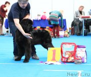 Превью фото № 222149