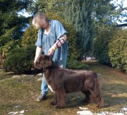 Превью фото № 222188