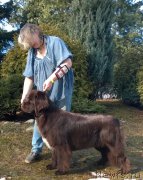 Превью фото № 222189