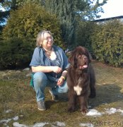 Превью фото № 222191