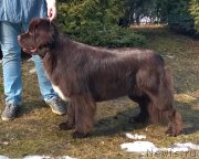 Превью фото № 222193