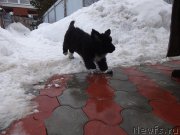 Превью фото № 222299